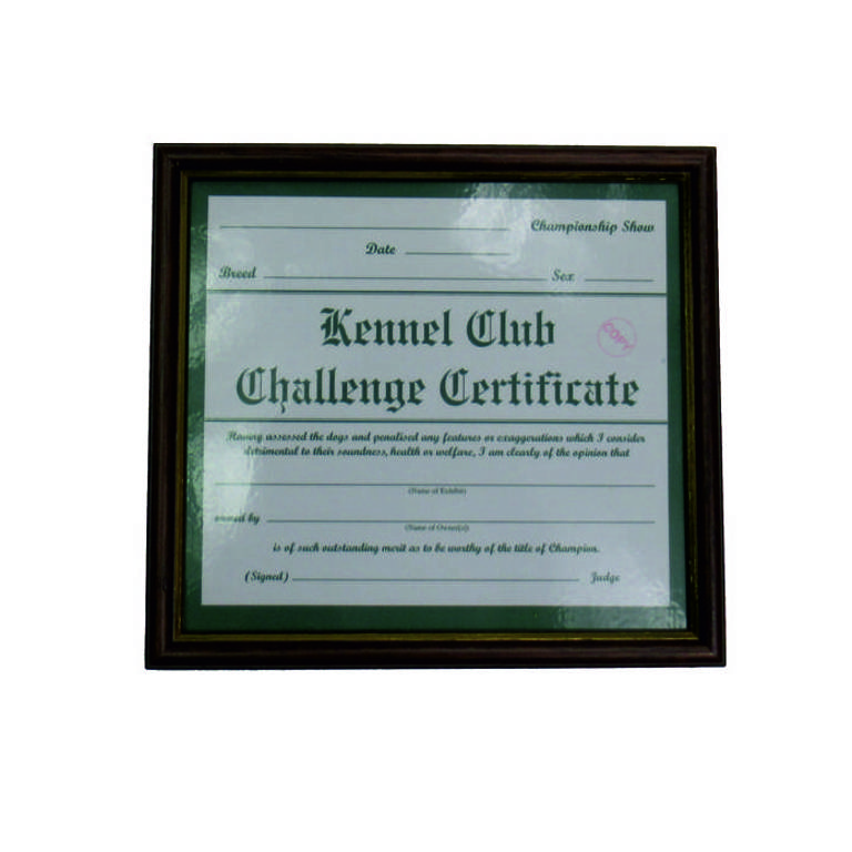 Challenge Certificate Frame