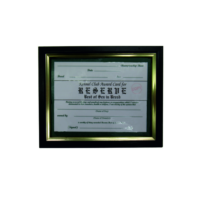 Reserve Best of Sex Certificate Frame